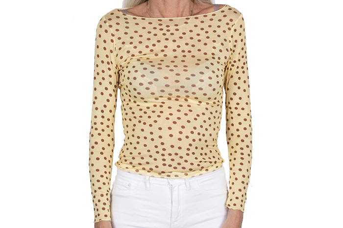 12487 Dot Top